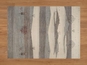 sh92748